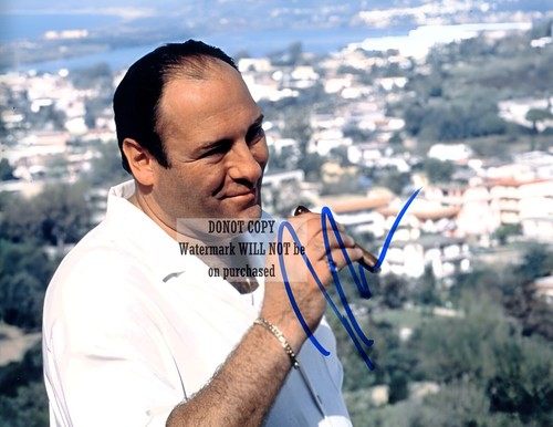 James gandolfini sopranos - james, 8